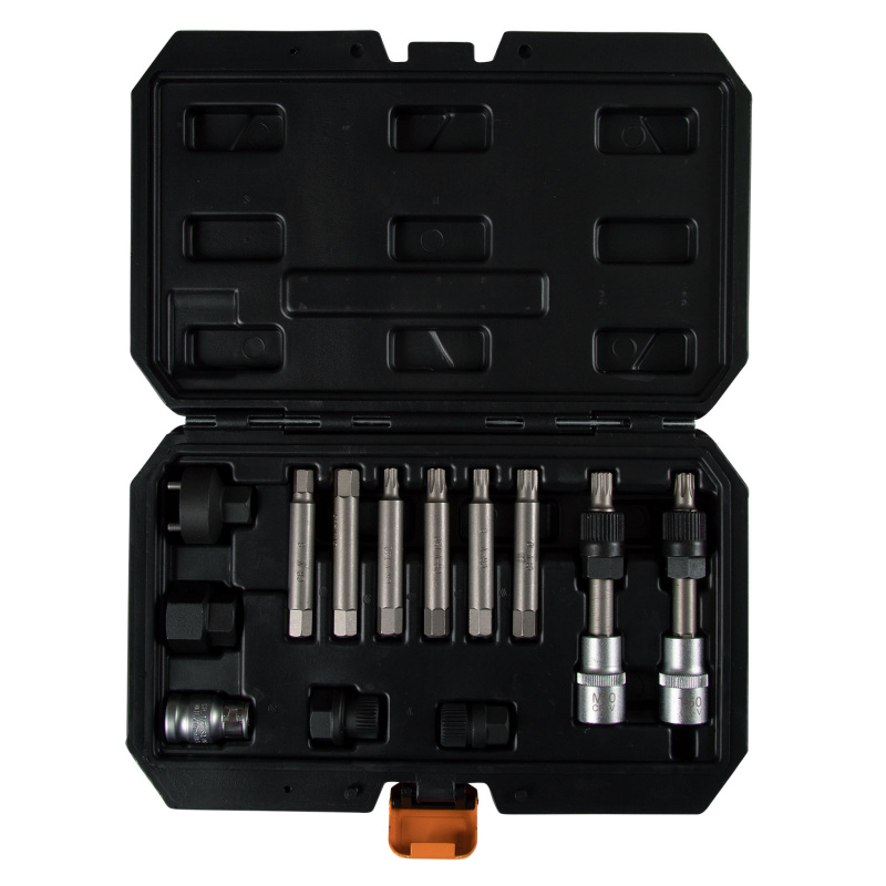 AFFIX Набор специальных головок и насадок для шкива генератора, кейс, 13 предметов AF10610013C